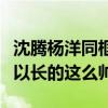 沈騰楊洋同框綜藝（沈騰大方稱贊楊洋怎么可以長的這么帥）