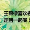 王鶴棣喜歡楊紫嗎（楊紫和王鶴棣最后會不會走到一起呢）