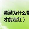 黃渤為什么帶王迅發展（因為黃渤的幫助王迅才能走紅）