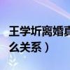 王學圻離婚真實內幕疑曝光（王學圻范冰冰什么關系）
