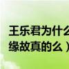 王樂君為什么不火（網傳因為是胡歌的前女友緣故真的么）