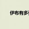 伊布有多強（11伊布為什么這么貴）