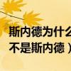 斯內德為什么要退出荷蘭隊（荷蘭隊長為什么不是斯內德）