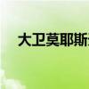大衛莫耶斯天才（莫耶斯為什么叫天才）