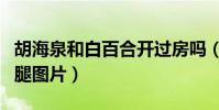 胡海泉和白百合開過房嗎(胡海泉摸白百何的腿圖片)