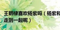 王鶴棣喜歡楊紫嗎(楊紫和王鶴棣最后會不會走到一起呢)