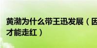 黃渤為什么帶王迅發展(因為黃渤的幫助王迅才能走紅)