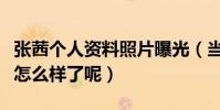 張茜個人資料照片曝光(當年的那個女神如今怎么樣了呢)