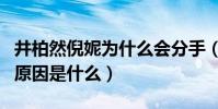 井柏然倪妮為什么會分手(井柏然倪妮分手的原因是什么)