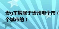 貴g車牌屬于貴州哪個市(貴d車牌是貴州哪個城市的)