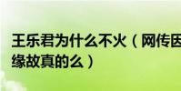 王樂君為什么不火(網傳因為是胡歌的前女友緣故真的么)