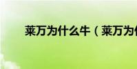 萊萬為什么牛(萊萬為什么叫豆腐)