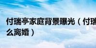 付瑞亭家庭背景曝光(付瑞亭和聲音陳冰為什么離婚)