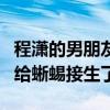 程瀟的男朋友是誰（如果有男友也不會無聊到給蜥蜴接生了）