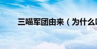 三喵軍團由來(為什么叫三貓軍團)