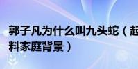 郭子凡為什么叫九頭蛇(起底郭子凡的個人資料家庭背景)