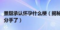 景甜承認懷孕什么梗(揭秘景甜和張繼科已經分手了)