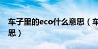 車子里的eco什么意思(車里的eco是什么意思)