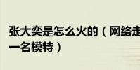 張大奕是怎么火的(網絡走紅之前的她曾經是一名模特)
