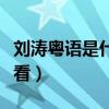 劉濤粵語是什么原因（她的這部早期作品真心看）