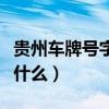 貴州車牌號字母代表（貴州車牌號字母排序是什么）