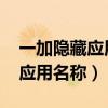 一加隱藏應用圖標名稱（一加9pro怎么隱藏應用名稱）