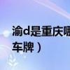 渝d是重慶哪個市的車牌（渝D是重慶哪里的車牌）