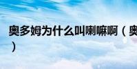 奧多姆為什么叫喇嘛啊(奧多姆為什么叫喇嘛)
