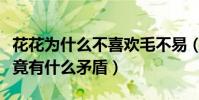 花花為什么不喜歡毛不易(毛不易和華晨宇究竟有什么矛盾)