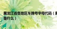黑龍江省各地區車牌號字母代碼(黑龍江省車牌號字母排序是什么)