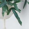 Nest恒溫器現在可以監控您在加拿大的HVAC系統