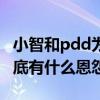 小智和pdd為什么撕引網友關注（兩人之間到底有什么恩怨）