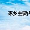 家鄉主要內容總結的中心思想是什么？