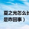夏之光怎么長不一樣了（網上曝光夏之光整容是咋回事）