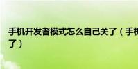 手機開發者模式怎么自己關了(手機開發者模式哪些可以關了)