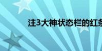 注3大神狀態欄的紅條是什么?