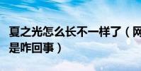 夏之光怎么長不一樣了(網上曝光夏之光整容是咋回事)