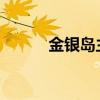 金銀島主要內容及創作背景介紹