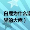 白鹿為什么退出敘舊（那是因為她榜上了娛樂界的大佬）