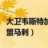 大衛韋斯特加盟勇士（大衛韋斯特為什么就加盟馬刺）