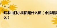 趙本山打小沈陽是什么梗(小沈陽離開趙本山是因為被打了么)