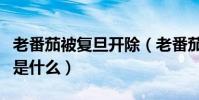 老番茄被復旦開除(老番茄被復旦開除的原因是什么)