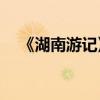 《湖南游記》主要內容介紹的作者是誰？