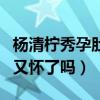 楊清檸秀孕肚段子引猜疑（繼王樂樂兒子之后又懷了嗎）
