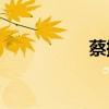 蔡振華為什么不辭職？