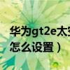華為gt2e太空人表盤（華為GT2e太空人表盤怎么設置）