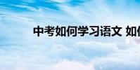 中考如何學習語文 如何提高成績