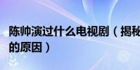 陳帥演過什么電視劇(揭秘陳帥出道至今不火的原因)