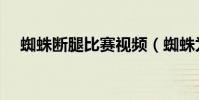 蜘蛛斷腿比賽視頻(蜘蛛為什么會斷腿)
