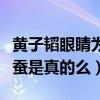 黃子韜眼睛為什么黑的（黃子韜的黑眼圈是臥蠶是真的么）
